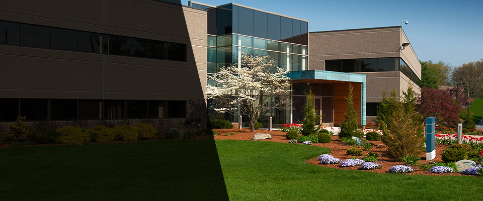 Hillsborough Landscapers